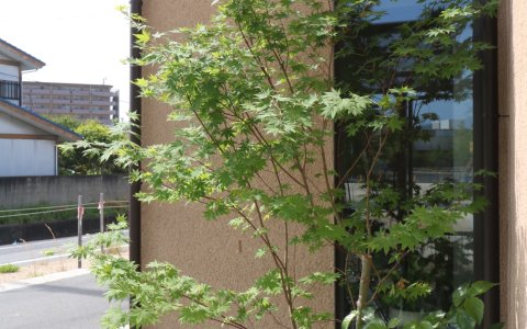 倉敷市｜自然素材の心地よい外構