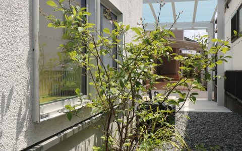 倉敷市｜シンプルボーダーアプローチ
