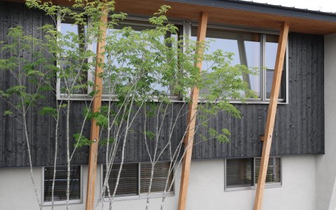 岡山市｜和モダン住宅と緑の外構
