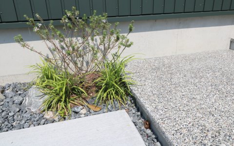 岡山市｜緑の外壁と調和するエクステリア