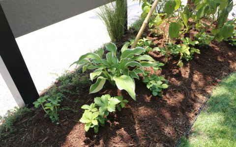 総社市｜グレージュを引き立てる植栽