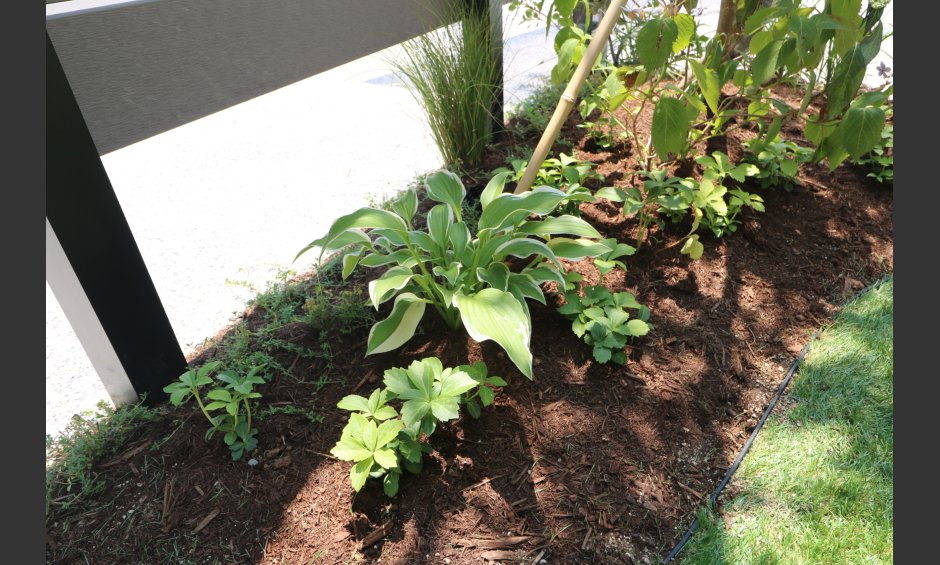 総社市｜グレージュを引き立てる植栽