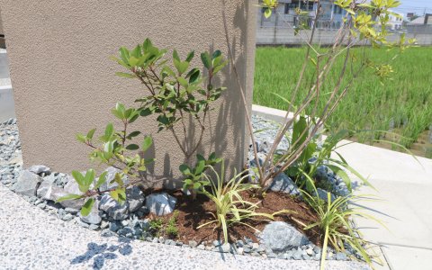 総社市｜グレージュを引き立てる植栽