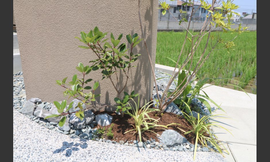 総社市｜グレージュを引き立てる植栽