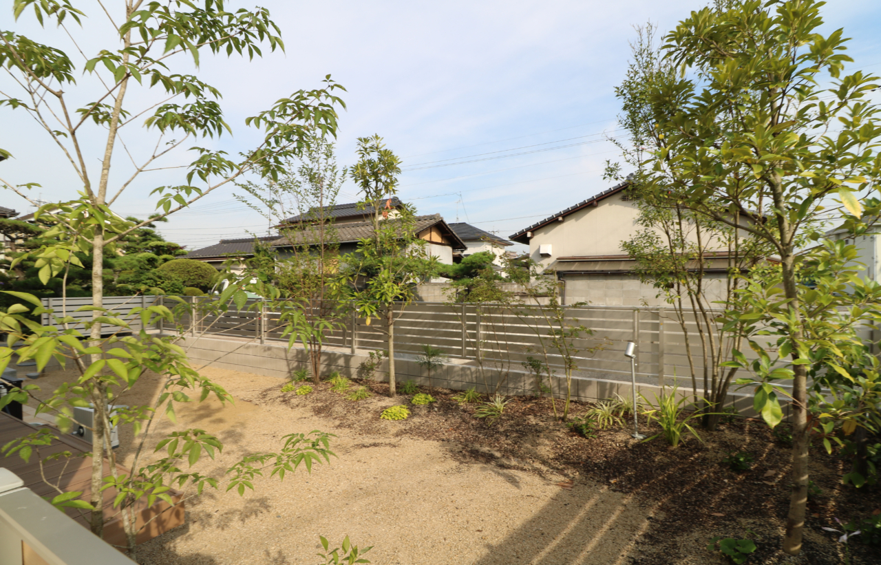 倉敷市｜塗り壁に映えるシンボルツリー