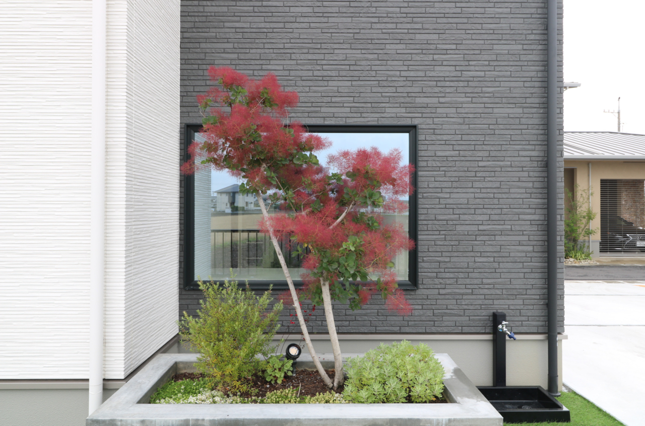 岡山市｜シックなモルタル塗りと植栽