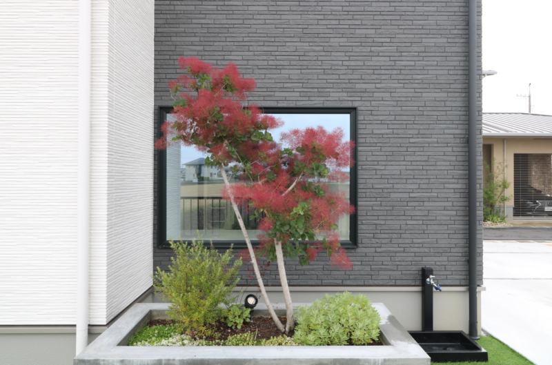 岡山市｜シックなモルタル塗りと植栽