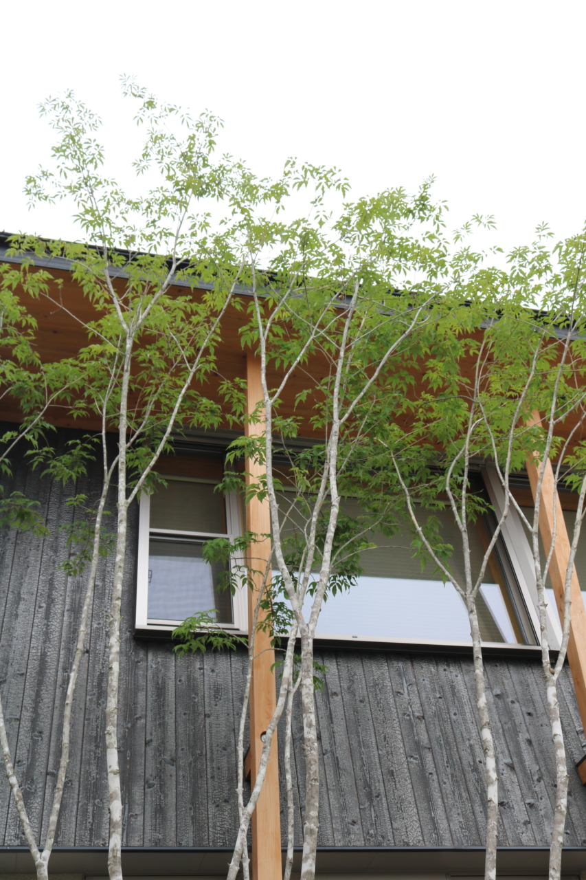 岡山市｜和モダン住宅と緑の外構