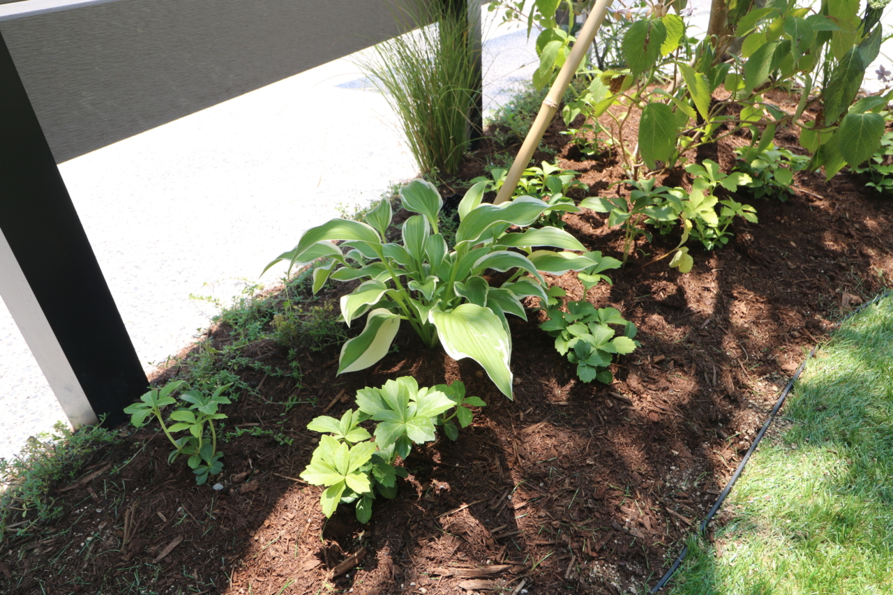 総社市|グレージュを引き立てる植栽