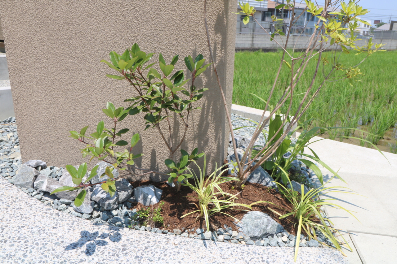総社市|グレージュを引き立てる植栽