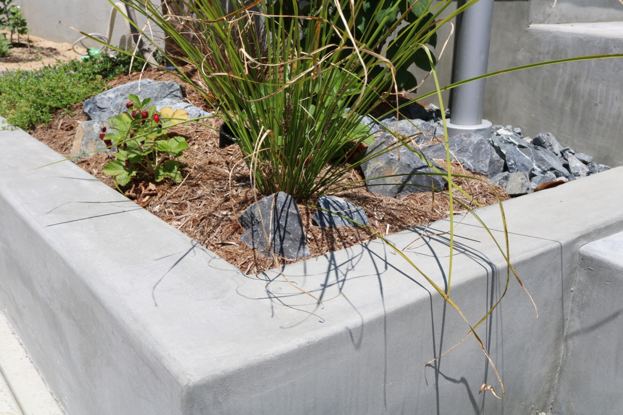 植栽とモルタル花壇の様子
