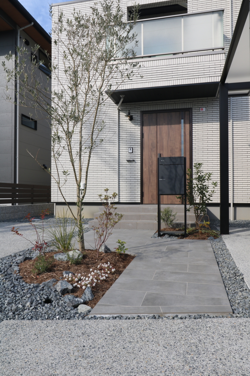 植栽計画 オリーブほか