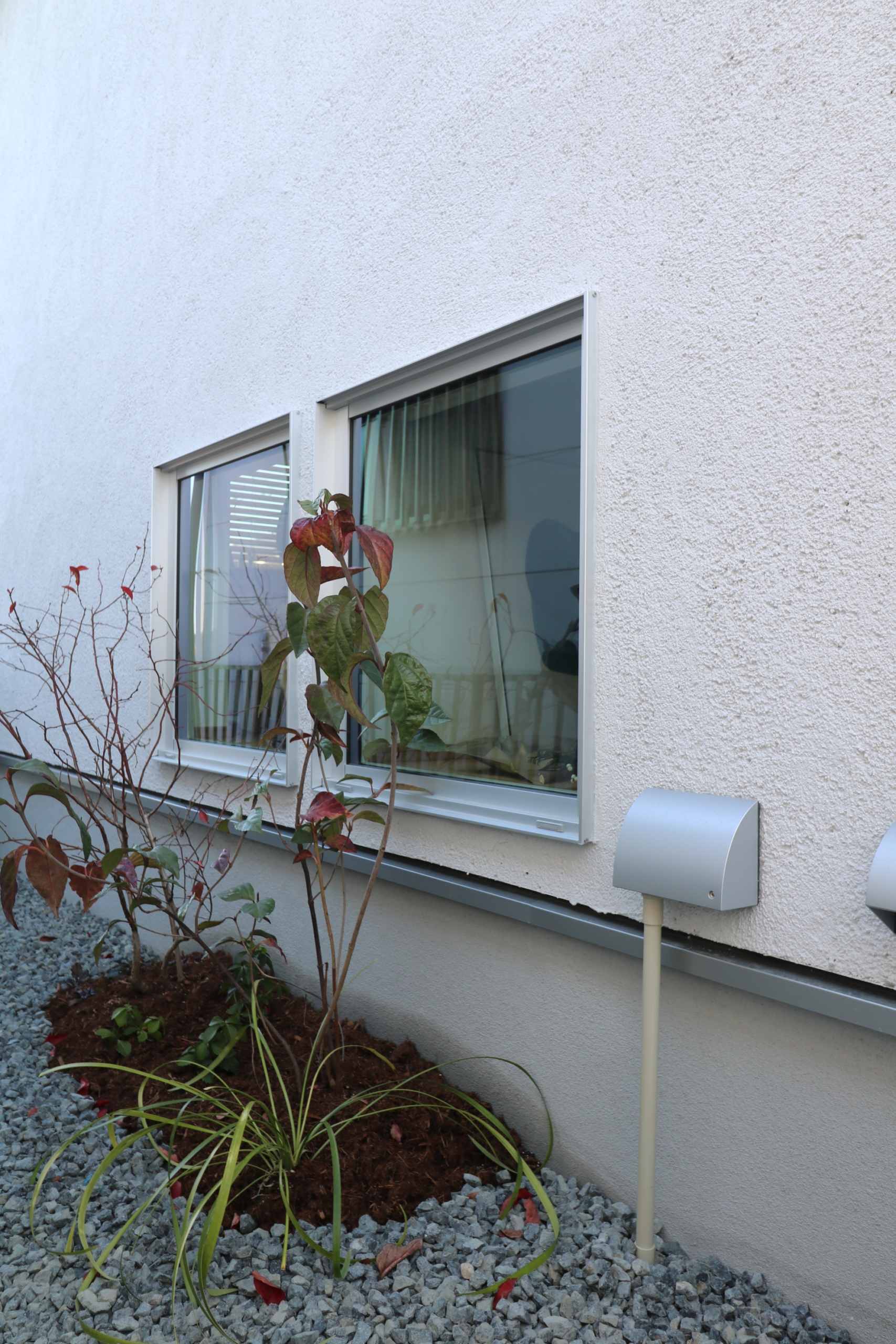 秋に紅葉するコバノズイナなど季節を感じる庭の植栽