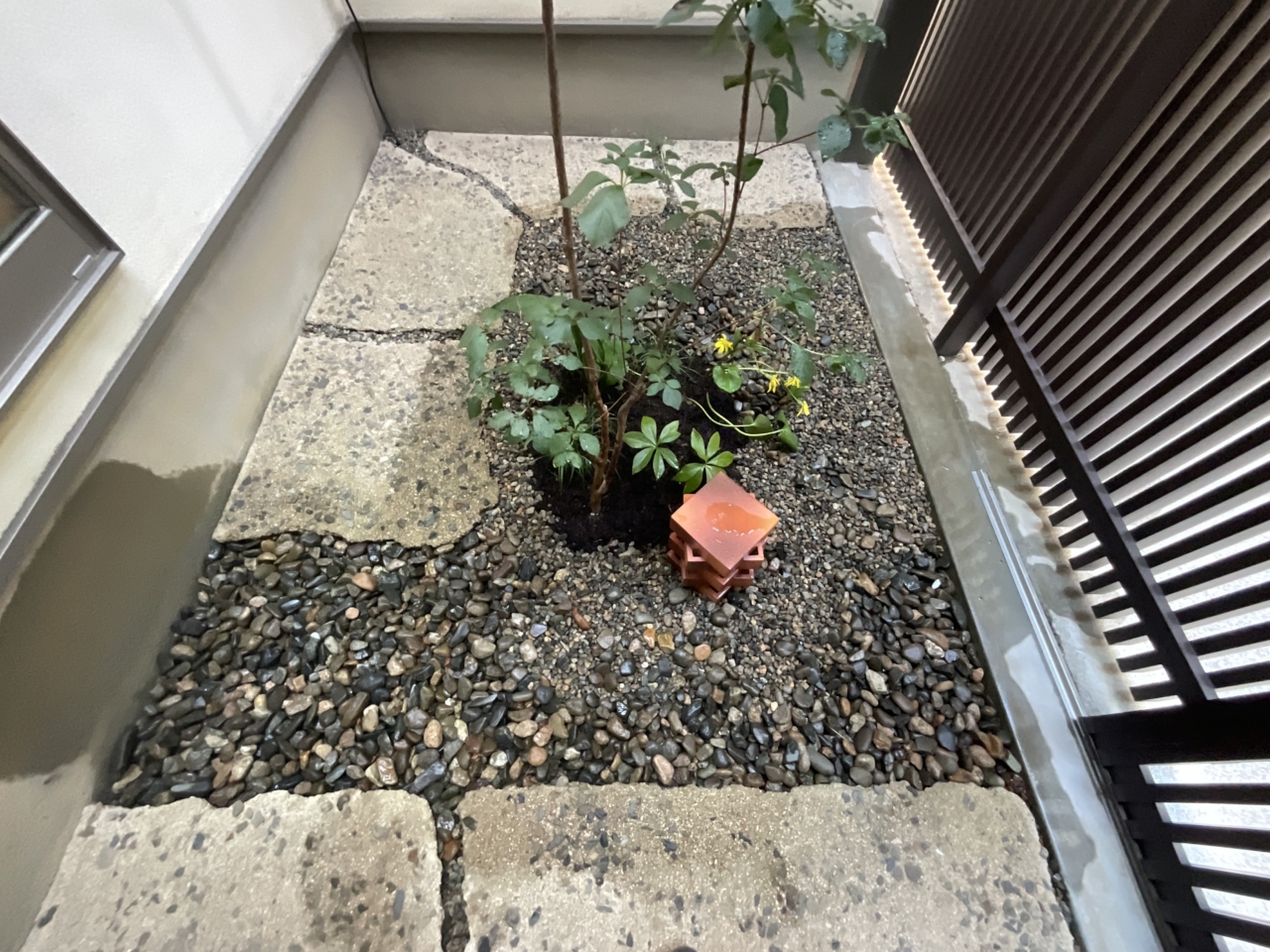 岡山市　植栽　メンテナンス　施工後