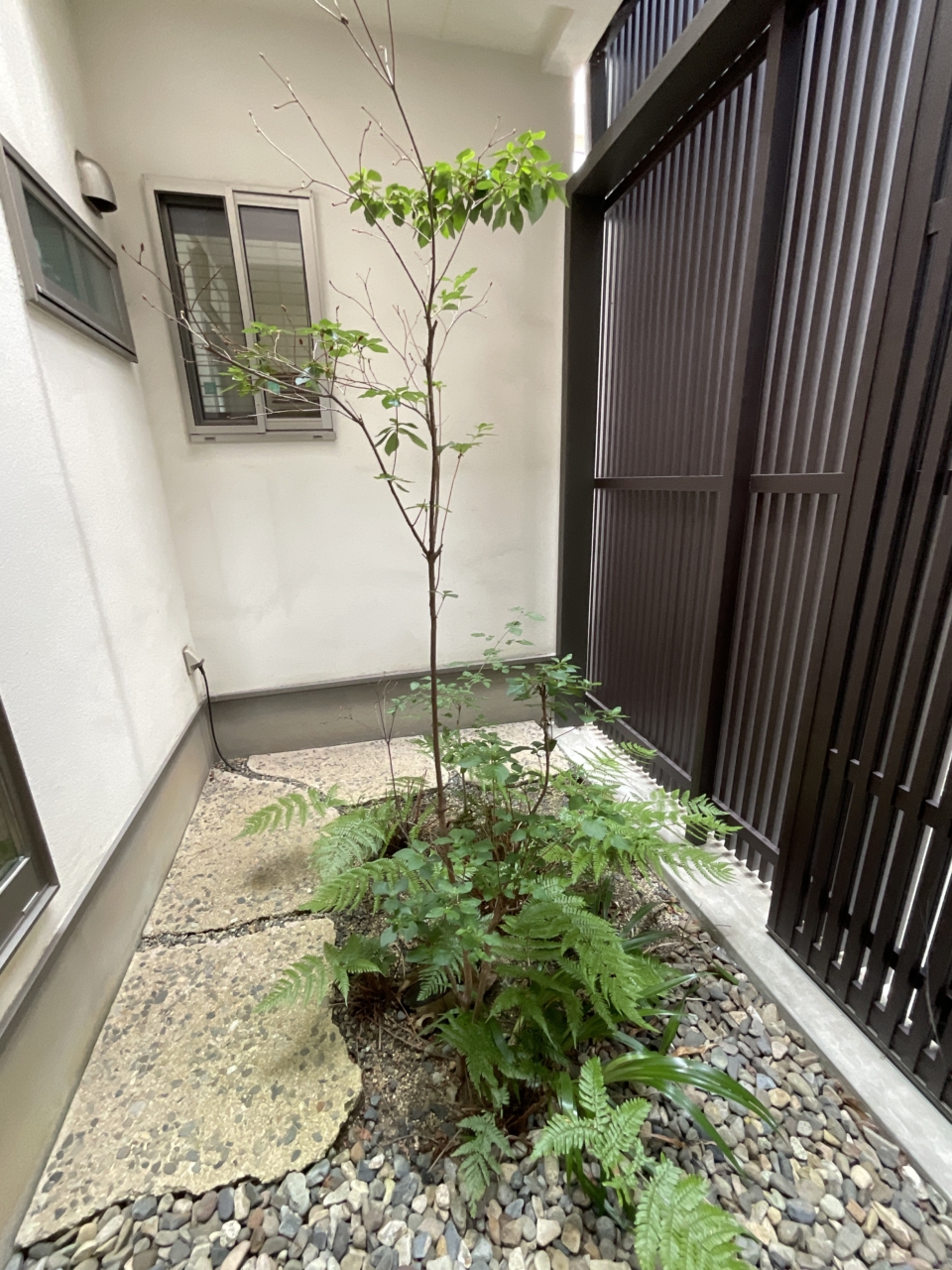 岡山市　植栽　メンテナンス　施工前
