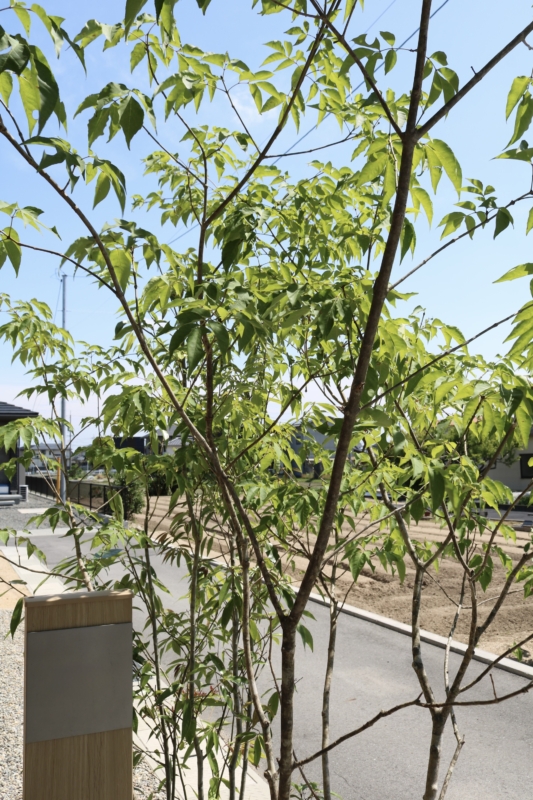 岡山市|洗練されたカーポートと植栽