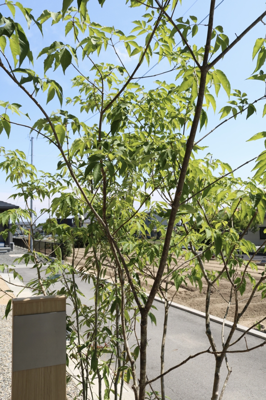 岡山市｜洗練されたカーポートと植栽