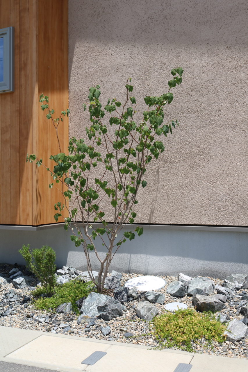 岡山市｜丸いアプローチと天然芝