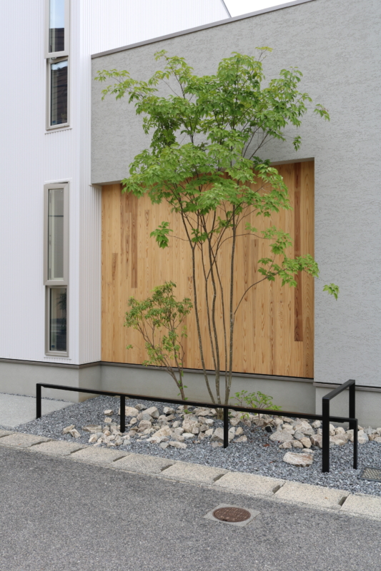 岡山市｜ライン照明と美しいアオダモ